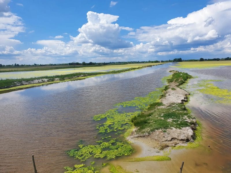 Mórahalom, Bivalyrezervátum