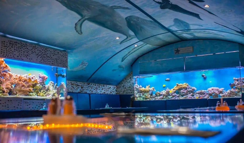 10 emlékezetes vacsora randihelyszín Budapesten