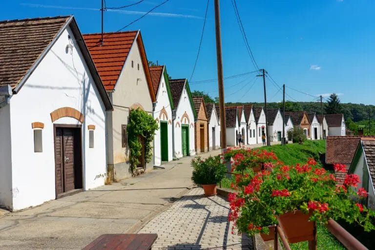 Villánykövesdi Pincesor