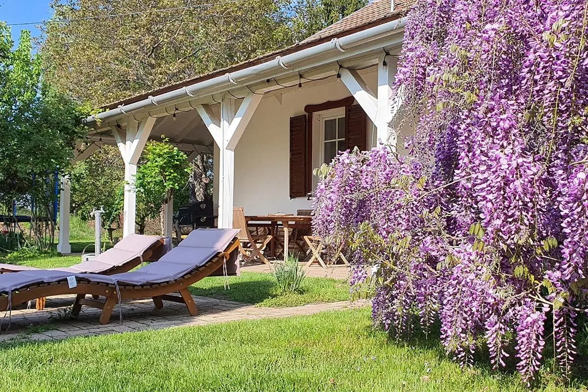 Fecskefészek vendégház