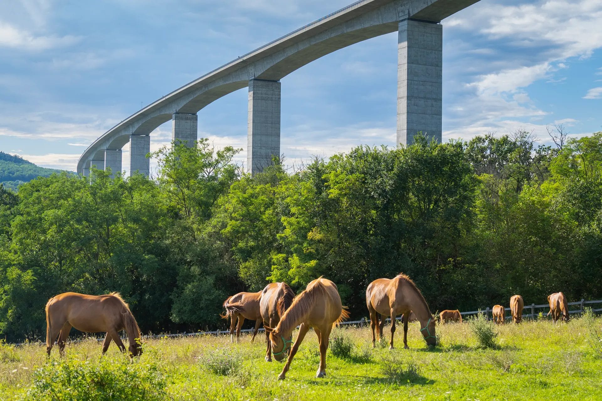 Kőröshegyi Völgyhíd